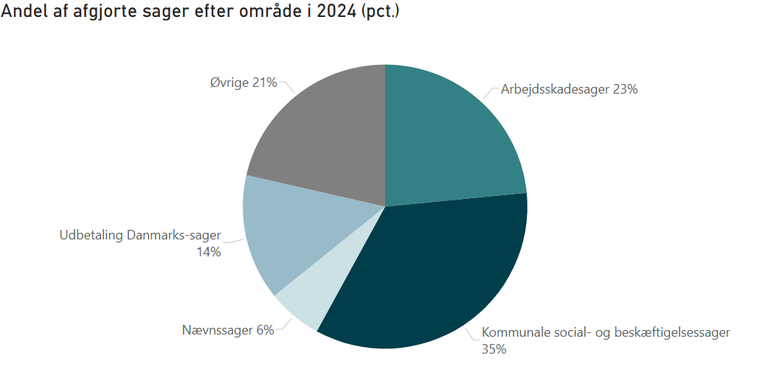 billede af cirkeldiagram over fordeling af afgjorte sager i 2024